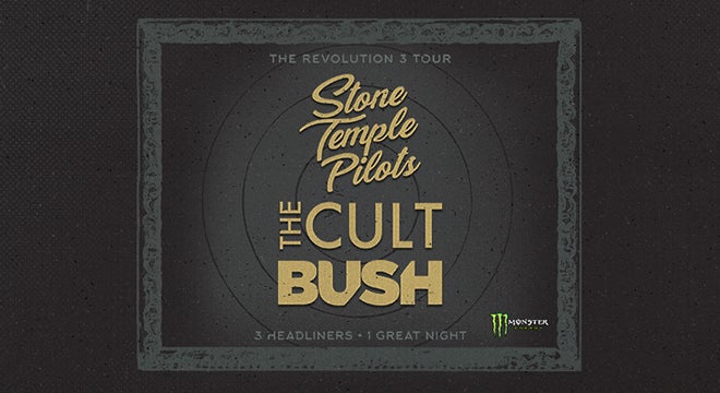STP_Cult_Bush_Spotlight