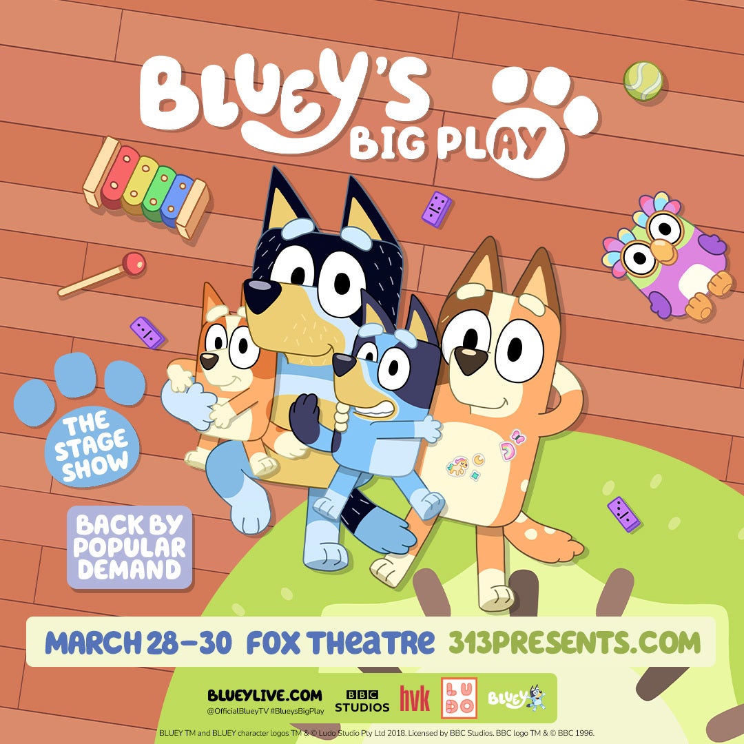 More Info for Bluey's Big Play