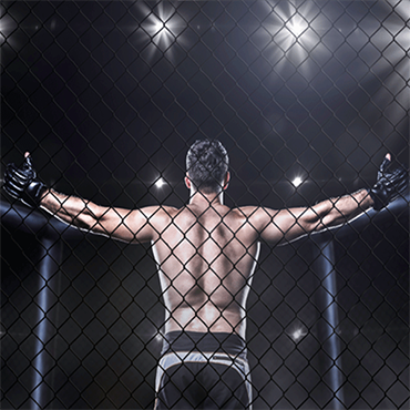 More Info for MotorCity Cage Night IX