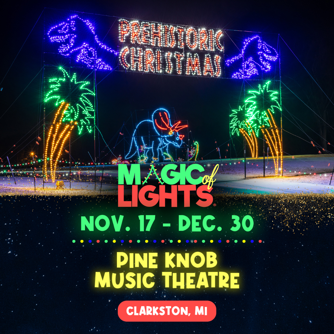 More Info for Magic of Lights