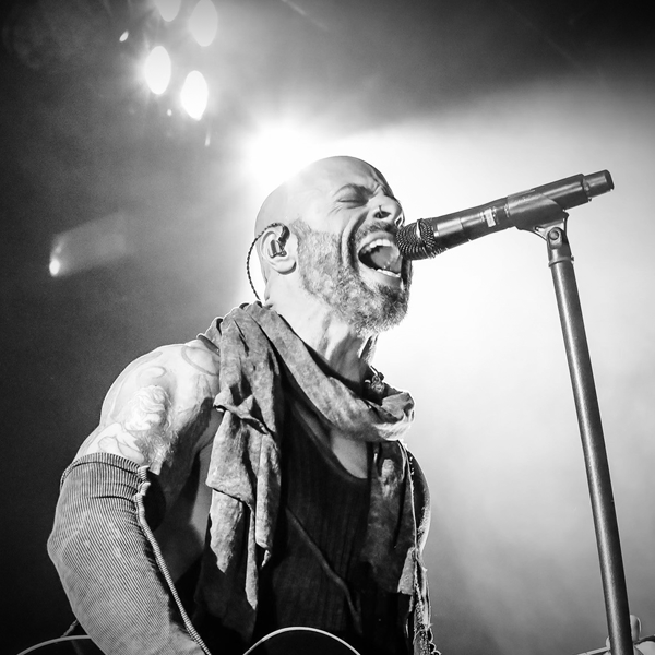 More Info for Daughtry: Bare Bones Tour