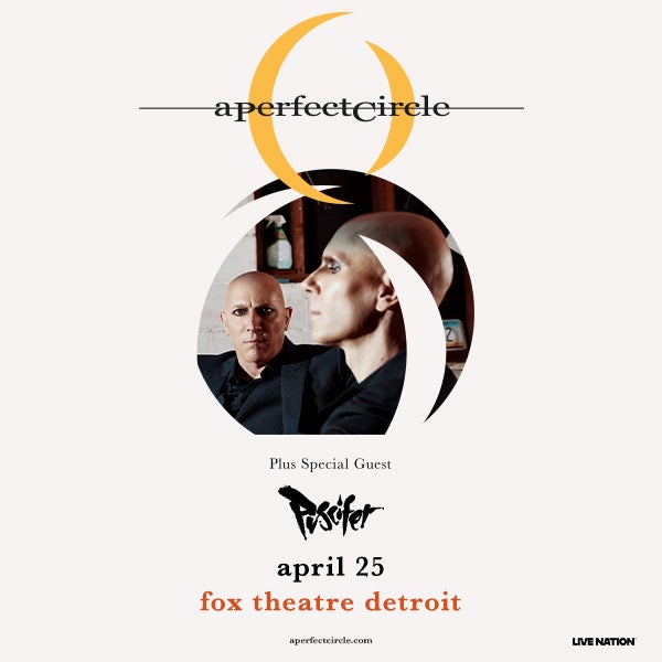 More Info for A Perfect Circle