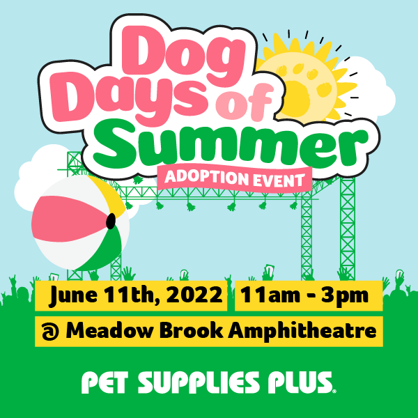 More Info for Dog Days of Summer 