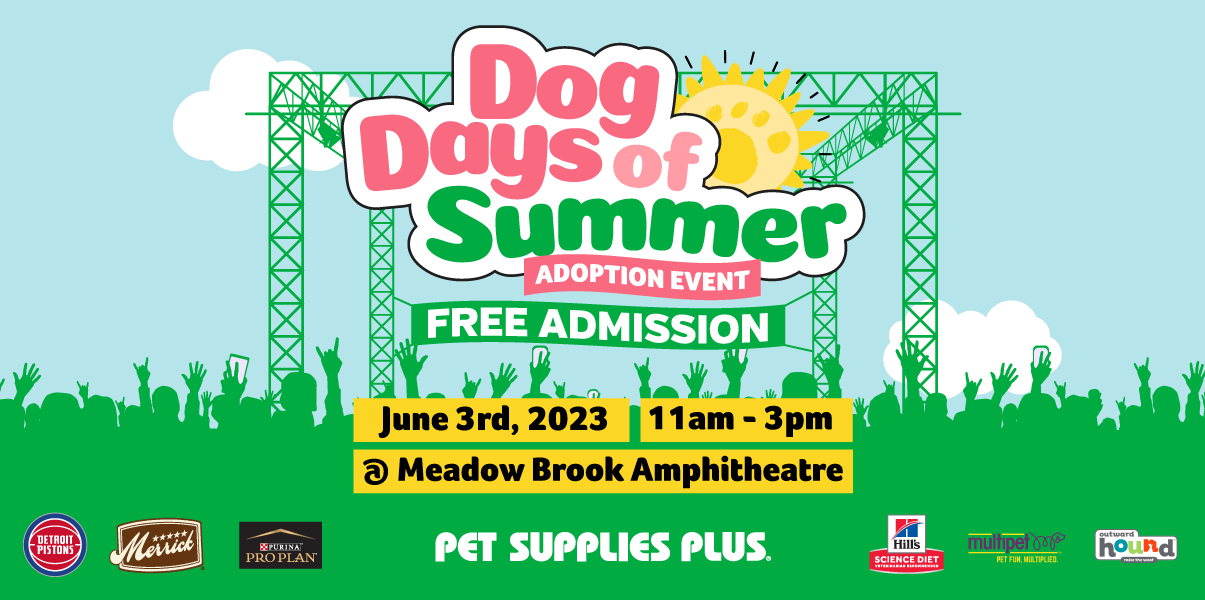 Dog Days of Summer