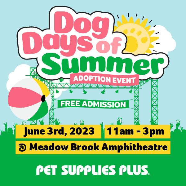 More Info for Dog Days of Summer 