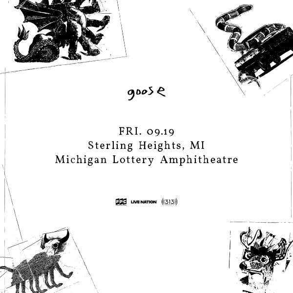 More Info for Goose