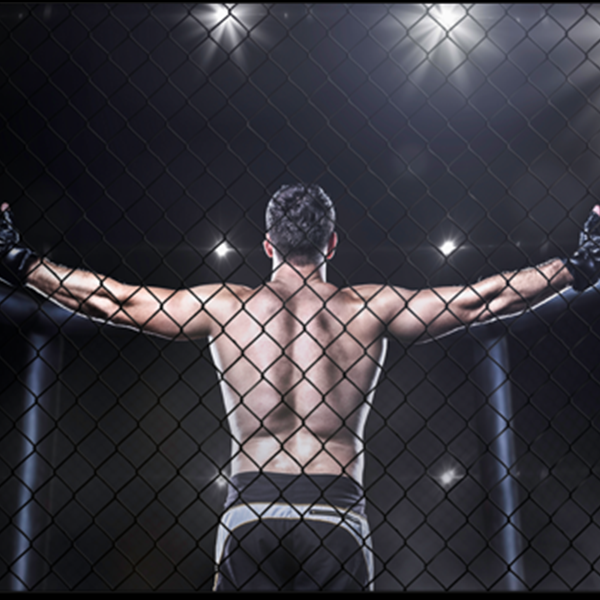 MotorCity Cage Night XII Live Mixed Martial Arts Fights 313 Presents