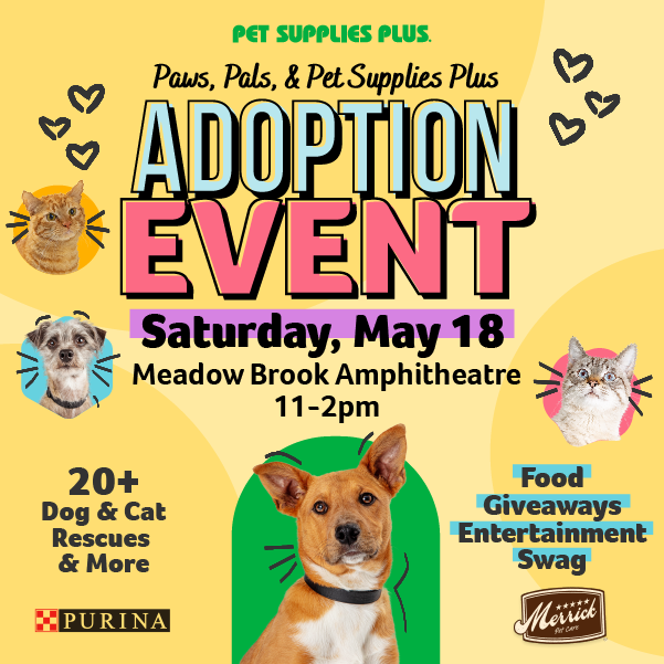 More Info for Paws. Pals. Pet Supplies Plus