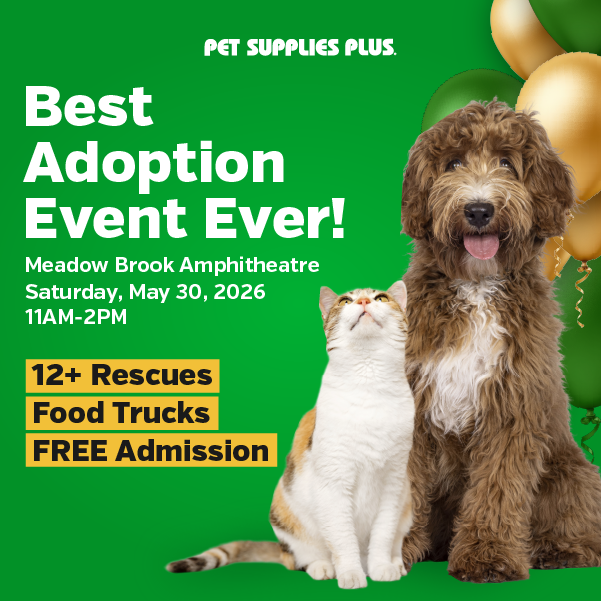 More Info for Best Adoption Event Ever!