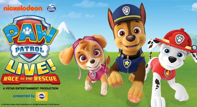 Paw Patrol Live