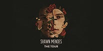 More Info for SHAWN MENDES ANNOUNCES GLOBAL ARENA TOUR WITH STOP AT LITTLE CAESARS ARENA AUGUST 5, 2019