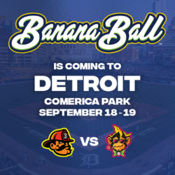 More Info for Banana Ball