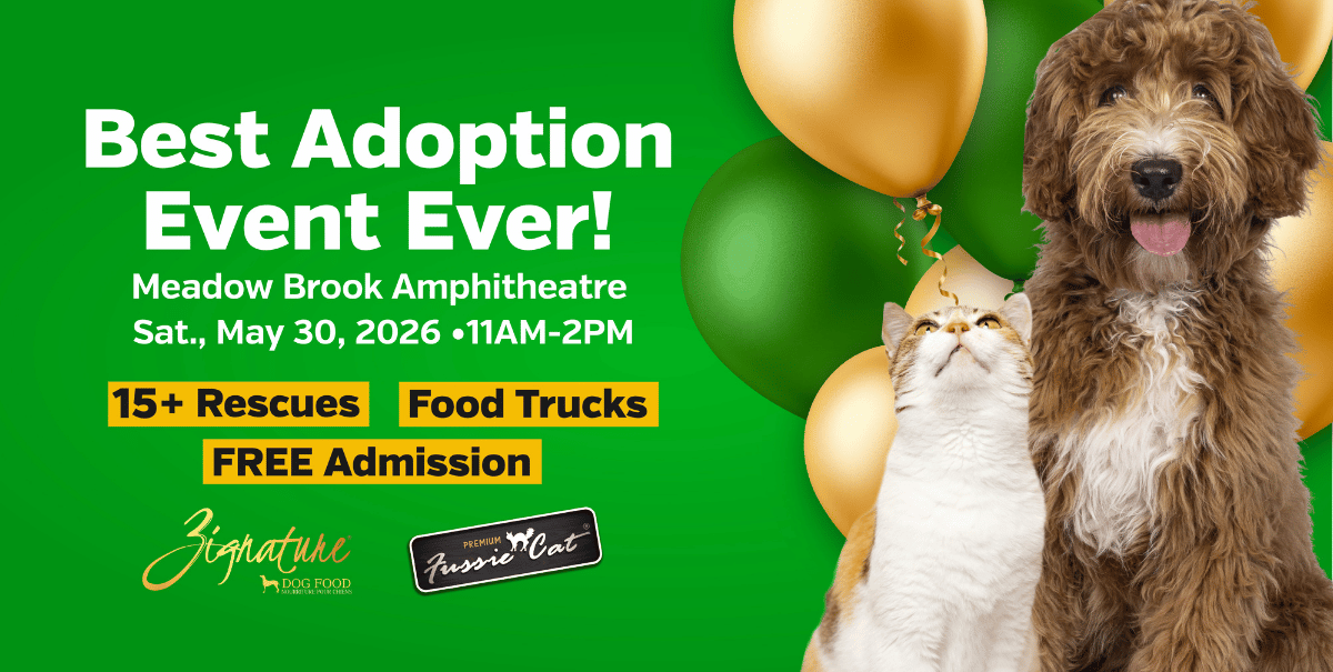 Best Adoption Event Ever!