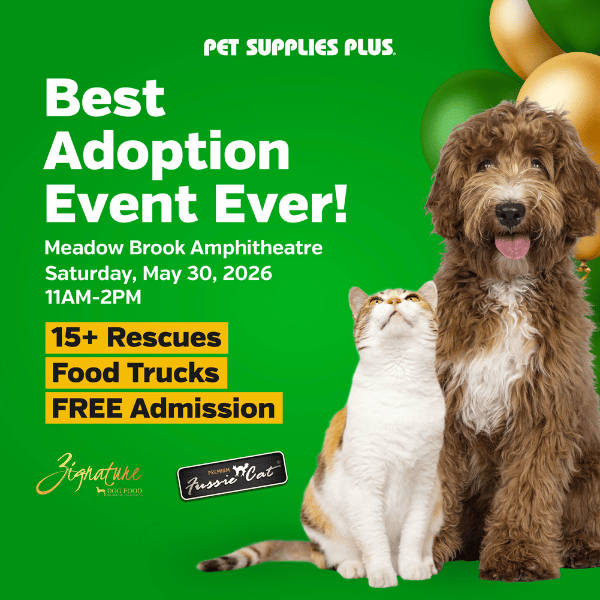 More Info for Best Adoption Event Ever!