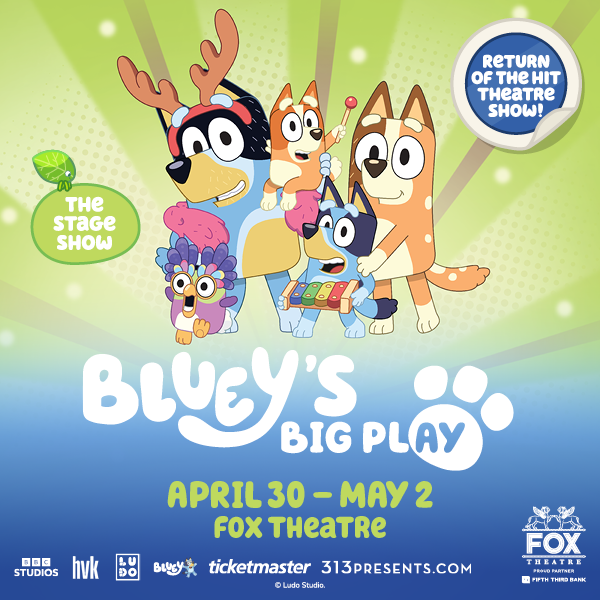 More Info for Bluey's Big Play